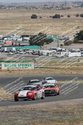 media/May-03-2025-Lucky Dog Racing (Sat) [[206de64b9d]]/Turn 4 A (3pm-4pm)/